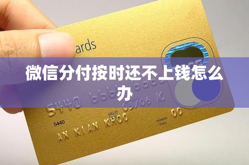 微信分付按时还不上钱怎么办 微信分付按时还不上钱怎么办