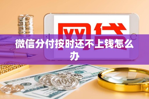 微信分付按时还不上钱怎么办 微信分付按时还不上钱怎么办