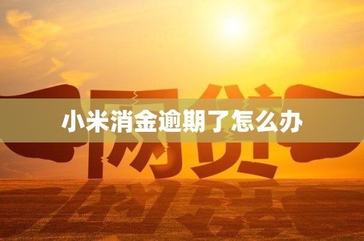 小米消金逾期了怎么办 小米消金逾期了怎么办