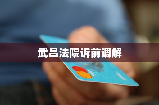 武昌法院诉前调解