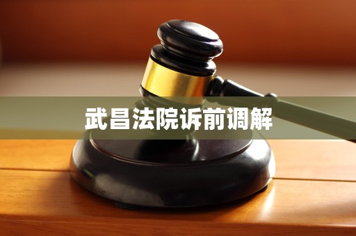 武昌法院诉前调解