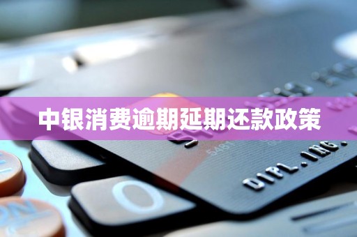 中银消费逾期延期还款政策