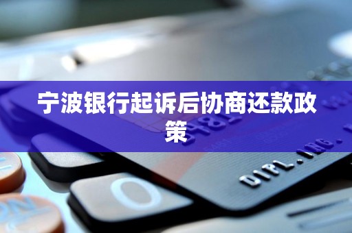 宁波银行起诉后协商还款政策