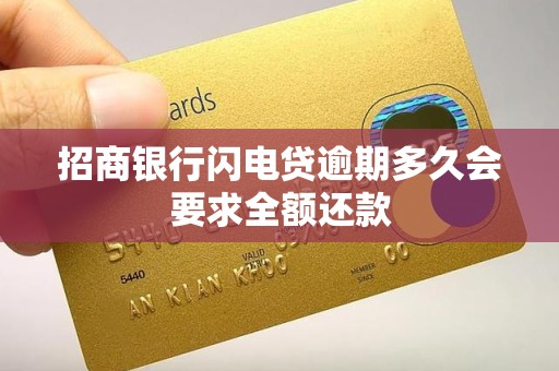 招商银行闪电贷逾期多久会要求全额还款
