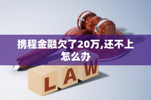 携程金融欠了20万,还不上怎么办 携程金融欠了20万,还不上怎么办