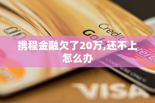 携程金融欠了20万,还不上怎么办 携程金融欠了20万,还不上怎么办