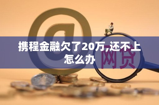 携程金融欠了20万,还不上怎么办