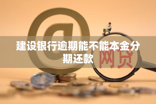 建设银行逾期能不能本金分期还款