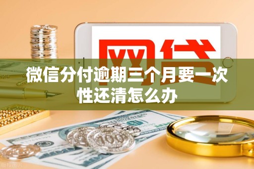 微信分付逾期三个月要一次性还清怎么办 微信分付逾期三个月要一次性还清怎么办