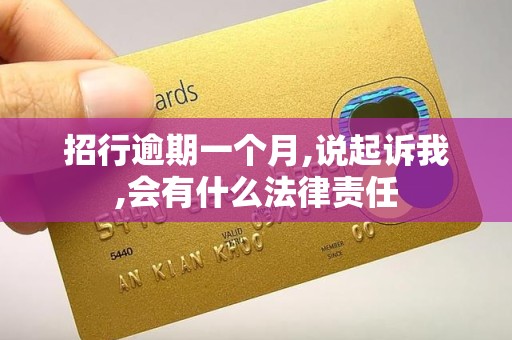 招行逾期一个月,说起诉我,会有什么法律责任
