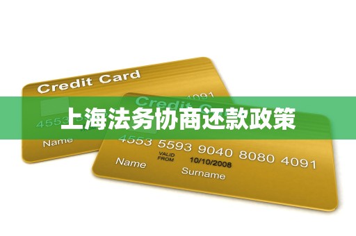 上海法务协商还款政策
