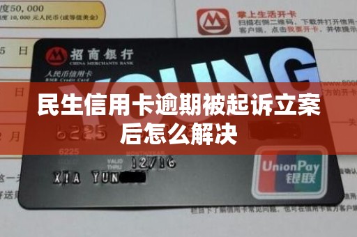 民生信用卡逾期被起诉立案后怎么解决