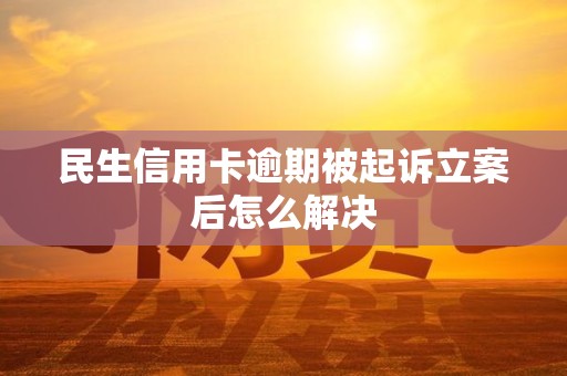 民生信用卡逾期被起诉立案后怎么解决