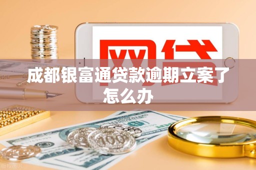 成都银富通贷款逾期立案了怎么办