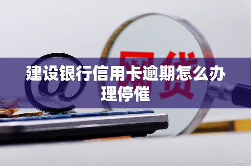 建设银行信用卡逾期怎么办理停催