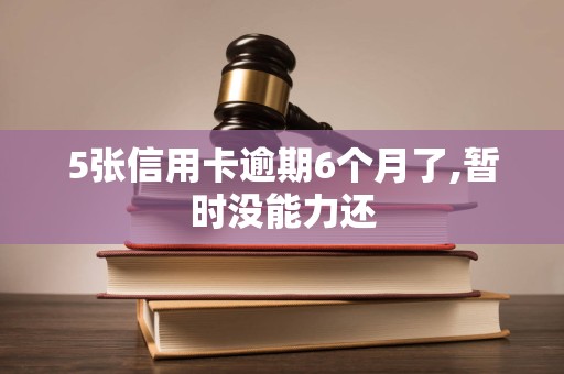 5张信用卡逾期6个月了,暂时没能力还