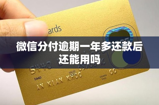 微信分付逾期一年多还款后还能用吗
