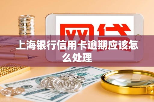 上海银行信用卡逾期应该怎么处理 上海银行信用卡逾期应该怎么处理