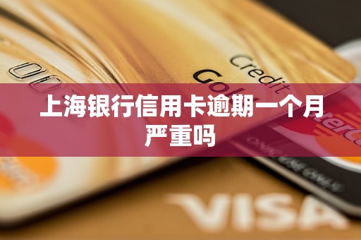 上海银行信用卡逾期一个月严重吗