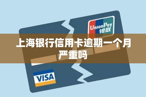 上海银行信用卡逾期一个月严重吗