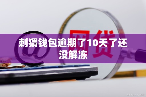 刺猬钱包逾期了10天了还没解冻