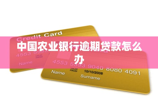中国农业银行逾期贷款怎么办