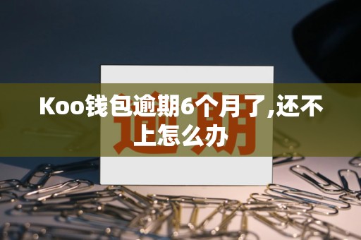 Koo钱包逾期6个月了,还不上怎么办