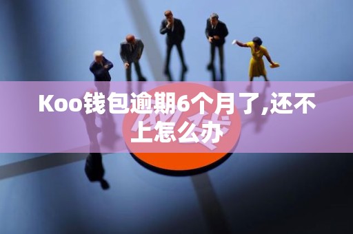 Koo钱包逾期6个月了,还不上怎么办