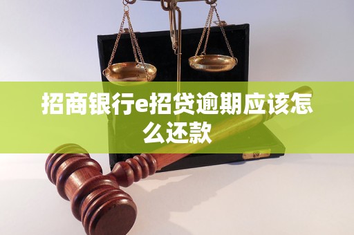 招商银行e招贷逾期应该怎么还款
