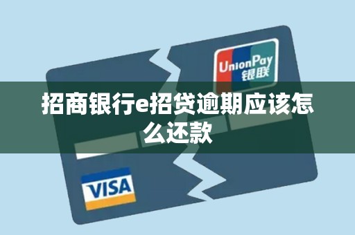 招商银行e招贷逾期应该怎么还款