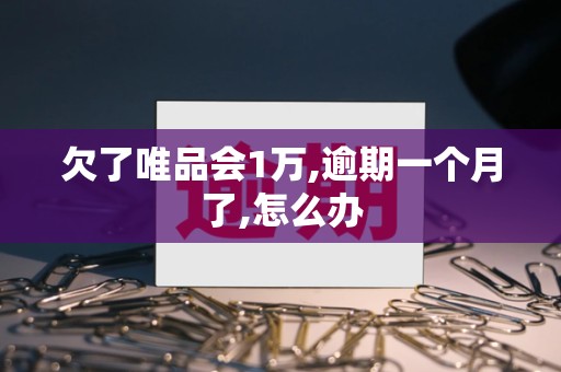 欠了唯品会1万,逾期一个月了,怎么办