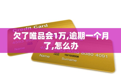 欠了唯品会1万,逾期一个月了,怎么办