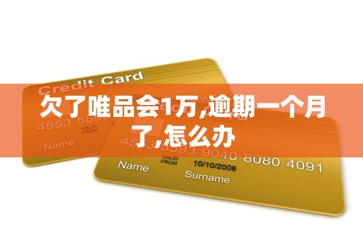 欠了唯品会1万,逾期一个月了,怎么办