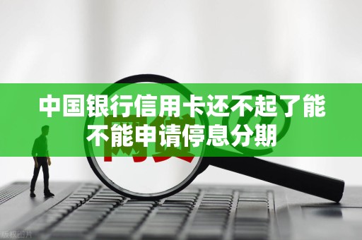 中国银行信用卡还不起了能不能申请停息分期
