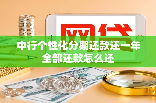 中行个性化分期还款还一年全部还款怎么还