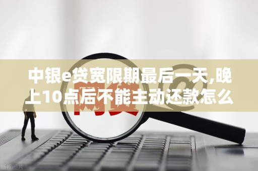 中银e贷宽限期最后一天,晚上10点后不能主动还款怎么办 中银e贷宽限期最后一天,晚上10点后不能主动还款怎么办