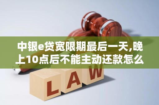 中银e贷宽限期最后一天,晚上10点后不能主动还款怎么办 中银e贷宽限期最后一天,晚上10点后不能主动还款怎么办