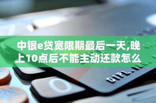 中银e贷宽限期最后一天,晚上10点后不能主动还款怎么办 中银e贷宽限期最后一天,晚上10点后不能主动还款怎么办