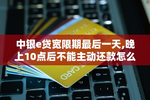 中银e贷宽限期最后一天,晚上10点后不能主动还款怎么办 中银e贷宽限期最后一天,晚上10点后不能主动还款怎么办