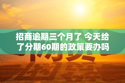 招商逾期三个月了 今天给了分期60期的政策要办吗
