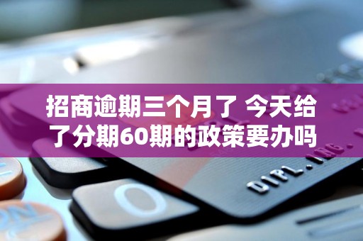 招商逾期三个月了 今天给了分期60期的政策要办吗