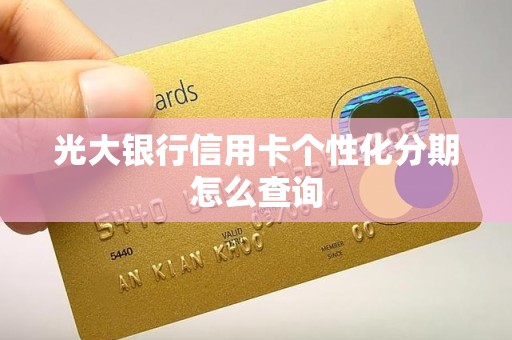 光大银行信用卡个性化分期怎么查询 光大银行信用卡个性化分期怎么查询
