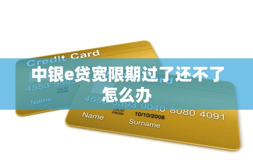 中银e贷宽限期过了还不了怎么办