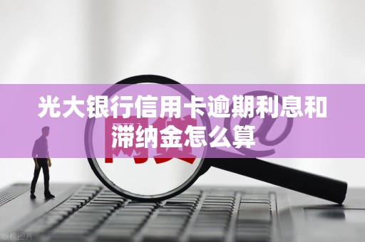 光大银行信用卡逾期利息和滞纳金怎么算 光大银行信用卡逾期利息和滞纳金怎么算