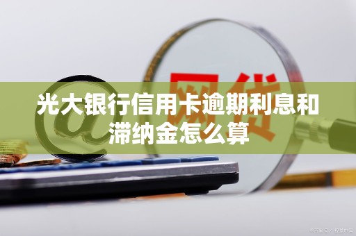光大银行信用卡逾期利息和滞纳金怎么算 光大银行信用卡逾期利息和滞纳金怎么算