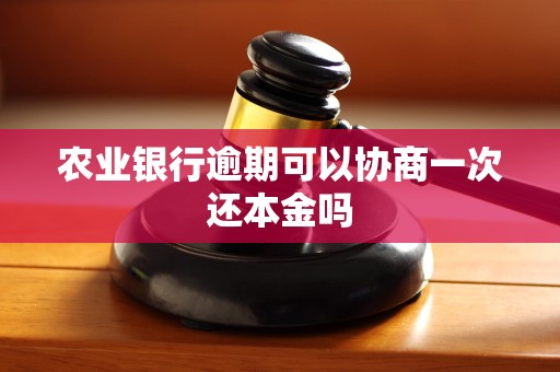农业银行逾期可以协商一次还本金吗