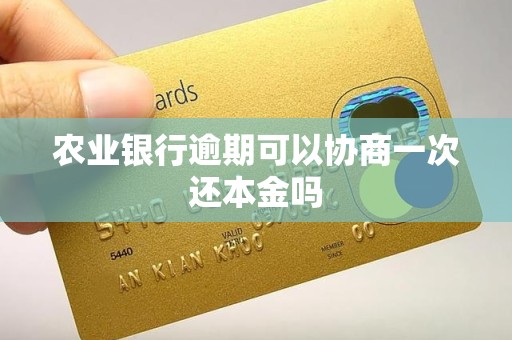农业银行逾期可以协商一次还本金吗