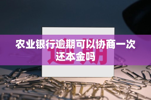农业银行逾期可以协商一次还本金吗