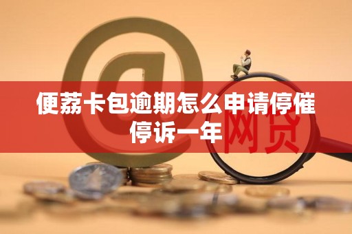便荔卡包逾期怎么申请停催停诉一年