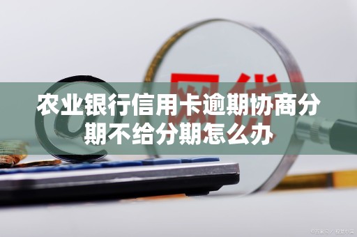 农业银行信用卡逾期协商分期不给分期怎么办